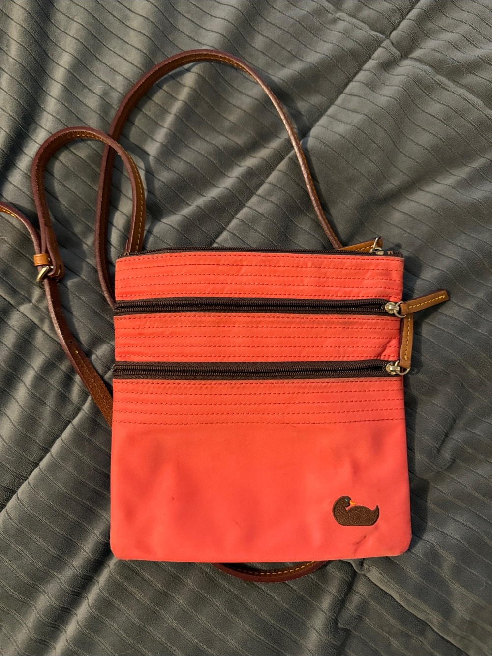 Dooney & Bourke Coral Crossbody with Brown Trim and Strap